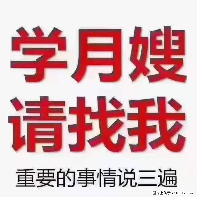 为什么要学习月嫂，育婴师？ - 其他广告 - 广告专区 - 新余分类信息 - 新余28生活网 xinyu.28life.com