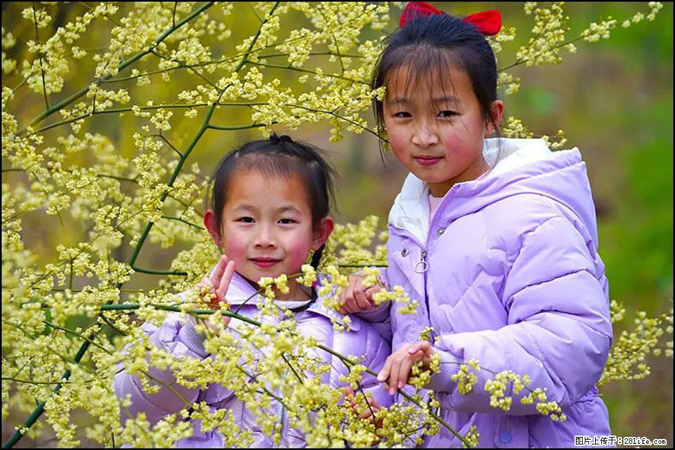 【春天,广西桂林灌阳县向您发出邀请!】米珠山前有片山苍子花在飘香 - 游山玩水 - 新余生活社区 - 新余28生活网 xinyu.28life.com