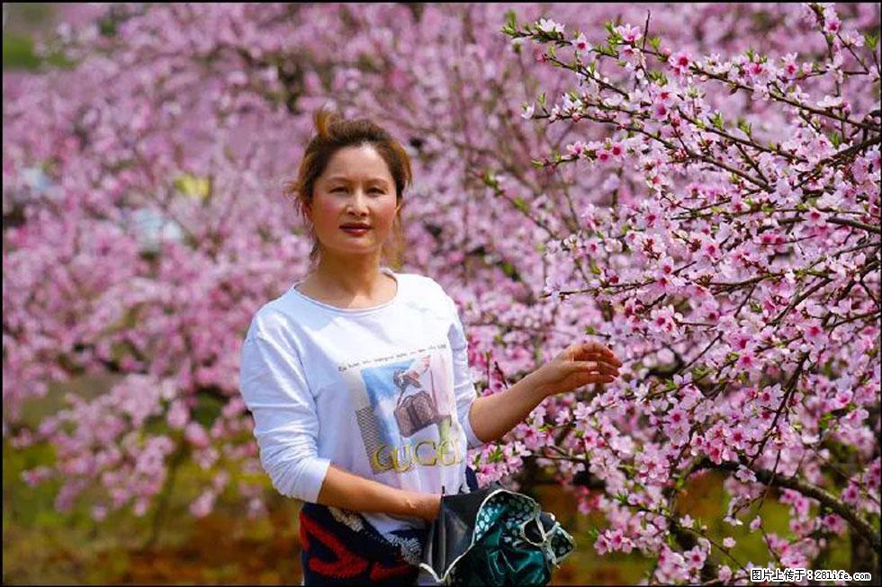 【春天,广西桂林灌阳县向您发出邀请!】官庄村有个醉美的桃花园 - 游山玩水 - 新余生活社区 - 新余28生活网 xinyu.28life.com