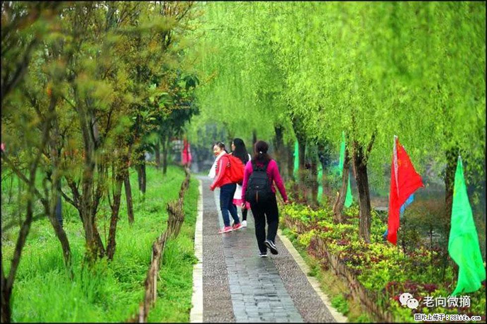 【春天，广西桂林灌阳县向您发出邀请！】江口老街又逢春 - 游山玩水 - 新余生活社区 - 新余28生活网 xinyu.28life.com