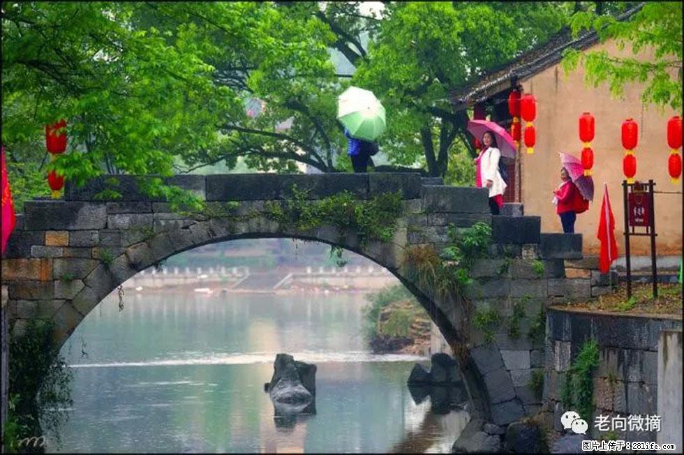 【春天，广西桂林灌阳县向您发出邀请！】江口老街又逢春 - 游山玩水 - 新余生活社区 - 新余28生活网 xinyu.28life.com