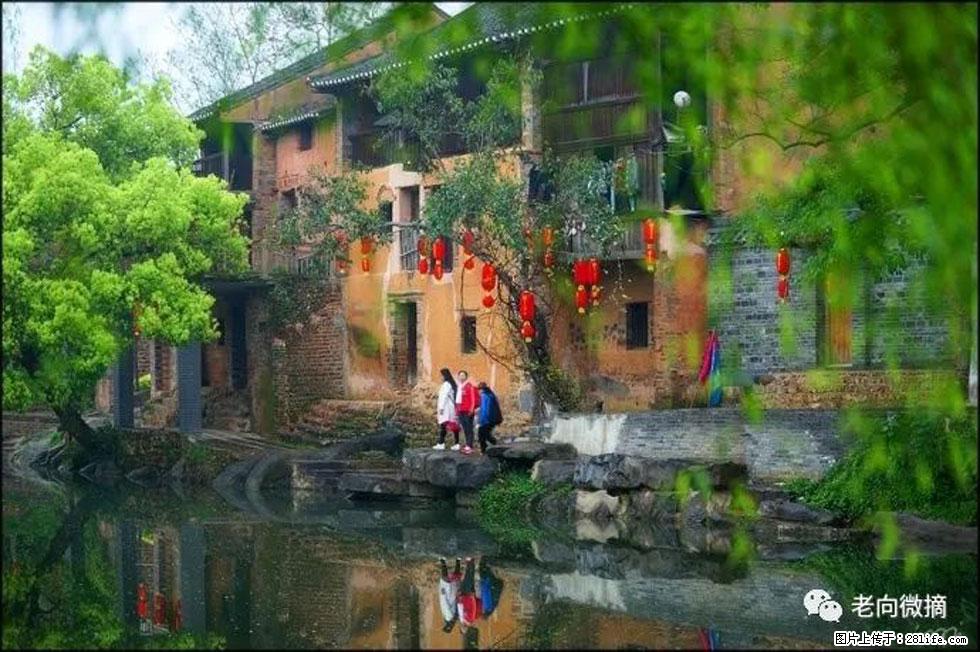 【春天，广西桂林灌阳县向您发出邀请！】江口老街又逢春 - 游山玩水 - 新余生活社区 - 新余28生活网 xinyu.28life.com