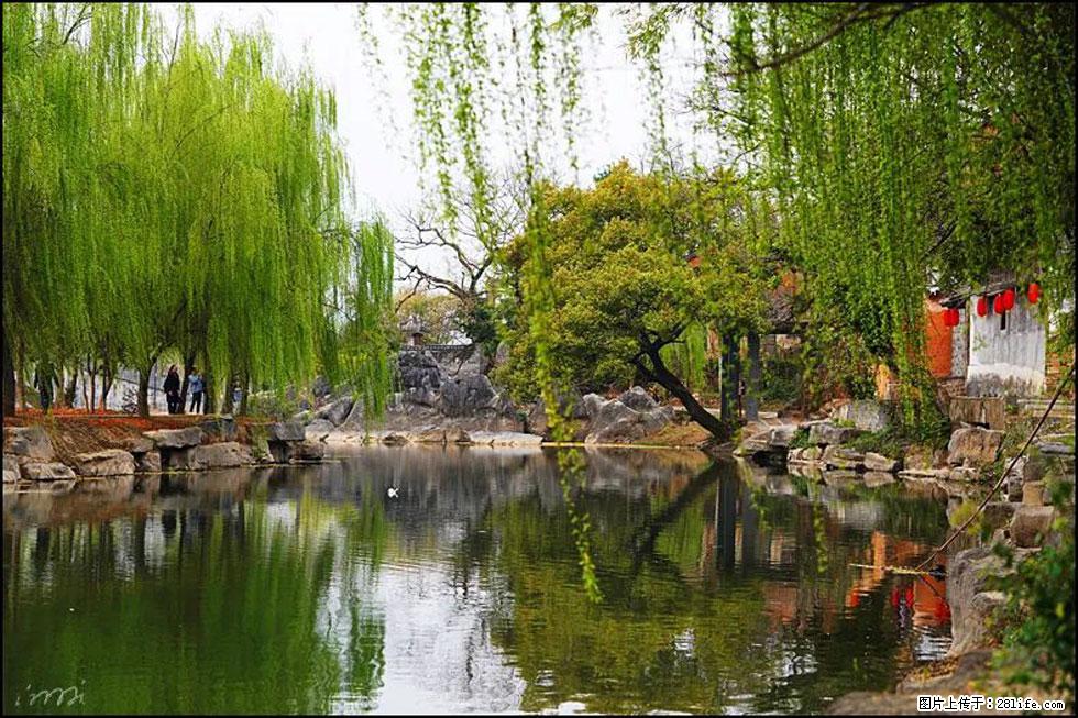 【春天，广西桂林灌阳县向您发出邀请！】江口老街又逢春 - 游山玩水 - 新余生活社区 - 新余28生活网 xinyu.28life.com