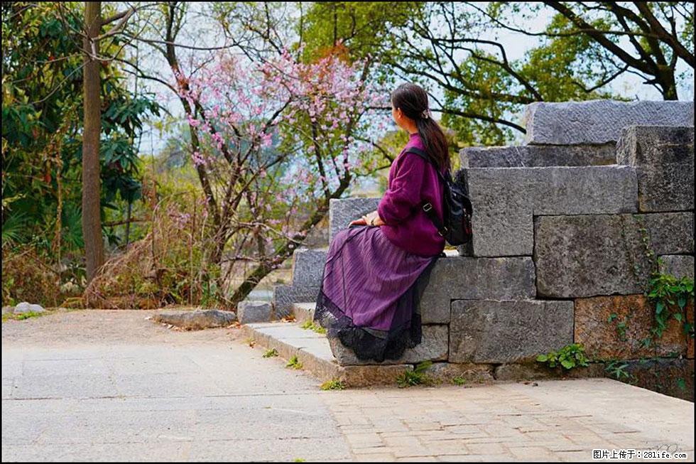 【春天，广西桂林灌阳县向您发出邀请！】江口老街又逢春 - 游山玩水 - 新余生活社区 - 新余28生活网 xinyu.28life.com