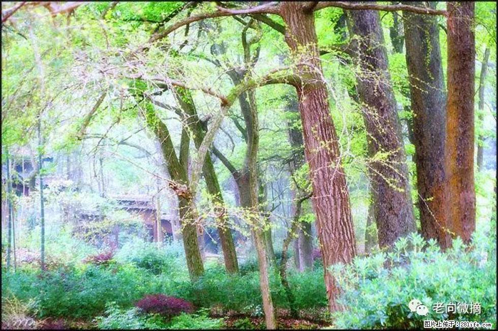 【春天,广西桂林灌阳县向您发出邀请!】在小龙村与春天约会 - 游山玩水 - 新余生活社区 - 新余28生活网 xinyu.28life.com