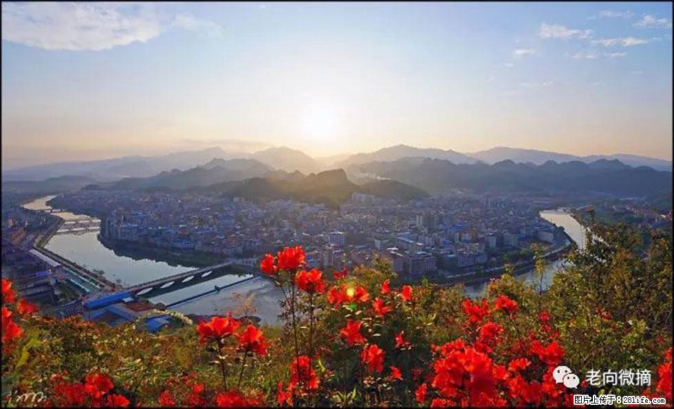 【春天,广西桂林灌阳县向您发出邀请!】登麒麟山,相约映山红 - 游山玩水 - 新余生活社区 - 新余28生活网 xinyu.28life.com