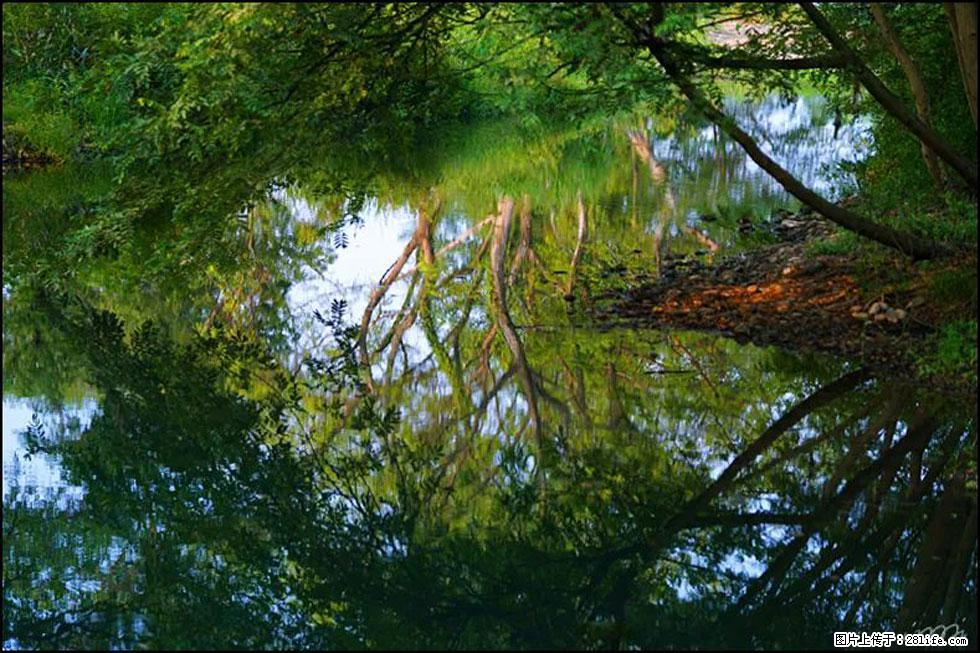【春天,广西桂林灌阳县向您发出邀请!】熊家寨湿地公园 - 游山玩水 - 新余生活社区 - 新余28生活网 xinyu.28life.com