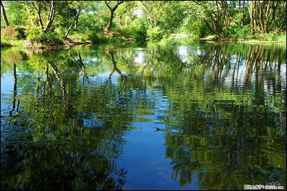 【春天,广西桂林灌阳县向您发出邀请!】熊家寨湿地公园 - 游山玩水 - 新余生活社区 - 新余28生活网 xinyu.28life.com