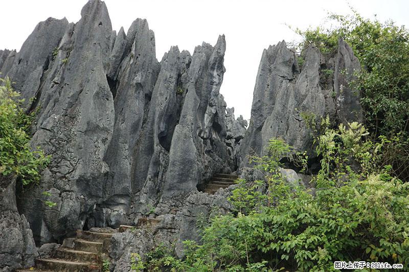 桂林旅游名城景点:灌阳文市石林 - 游山玩水 - 新余生活社区 - 新余28生活网 xinyu.28life.com