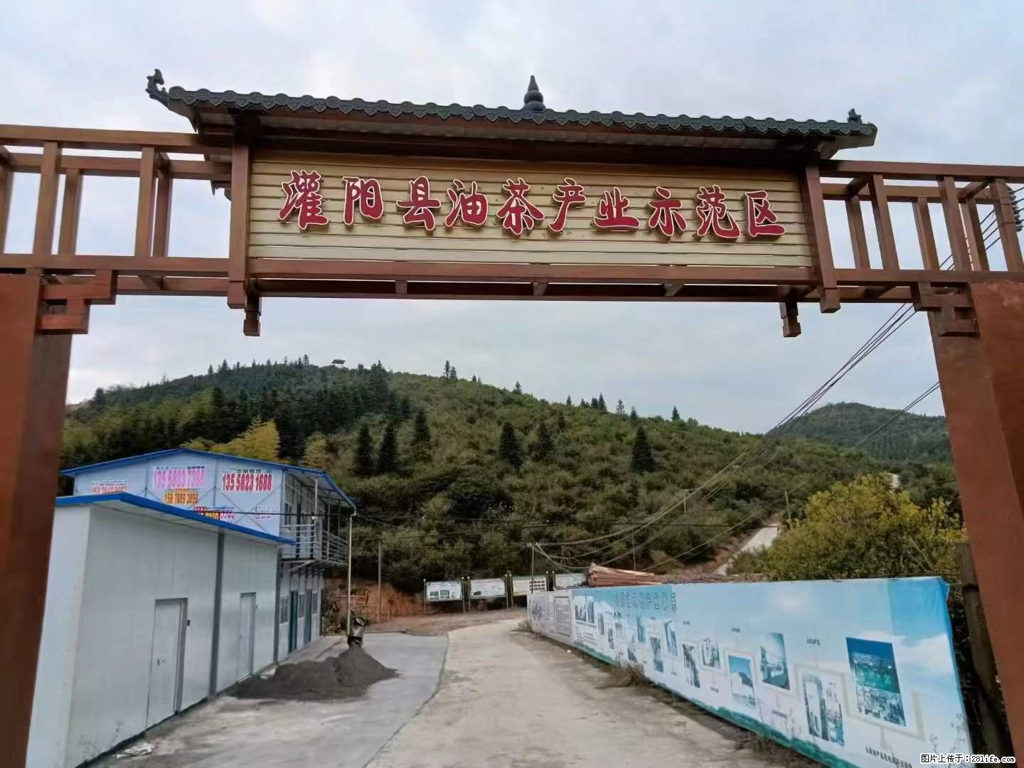 【灌阳县油茶产业示范区】一个有着充实的精神生活的人，对待身外之物自会有一种淡泊的态度 - 美食天地 - 新余生活社区 - 新余28生活网 xinyu.28life.com