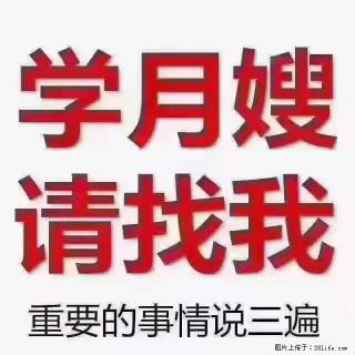 为什么要学习月嫂,育婴师? - 新余28生活网 xinyu.28life.com