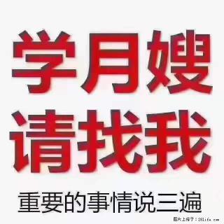 为什么要学习月嫂，育婴师？ - 新余28生活网 xinyu.28life.com