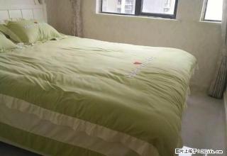 金豪财富广场一室一厅精装修 - 新余28生活网 xinyu.28life.com