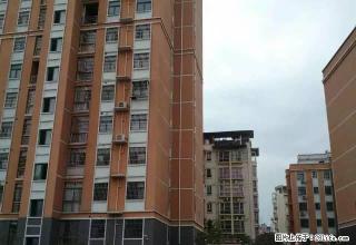 江景兰庭,暨阳学校附近小区,电梯楼18楼 - 新余28生活网 xinyu.28life.com