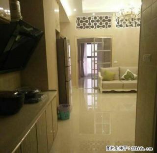 精装公寓南北通透采光好金豪财富广场出租 - 新余28生活网 xinyu.28life.com