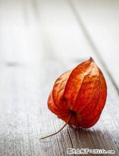 交通方便，家电家具齐全。 - 新余28生活网 xinyu.28life.com