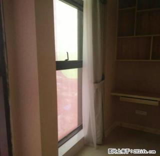 金豪财富广场酒店式精装公寓一室一厅一厨一卫拎包入住 - 新余28生活网 xinyu.28life.com