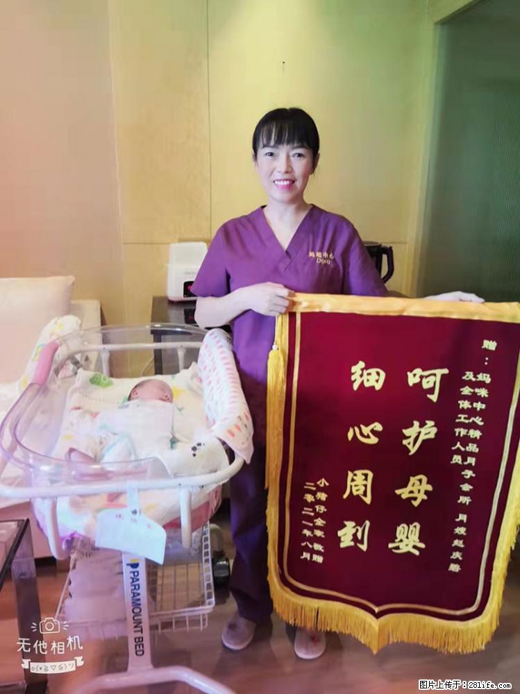 上海高端月子会所招新手月嫂，零基础带教，包吃住 - 职场交流 - 新余生活社区 - 新余28生活网 xinyu.28life.com