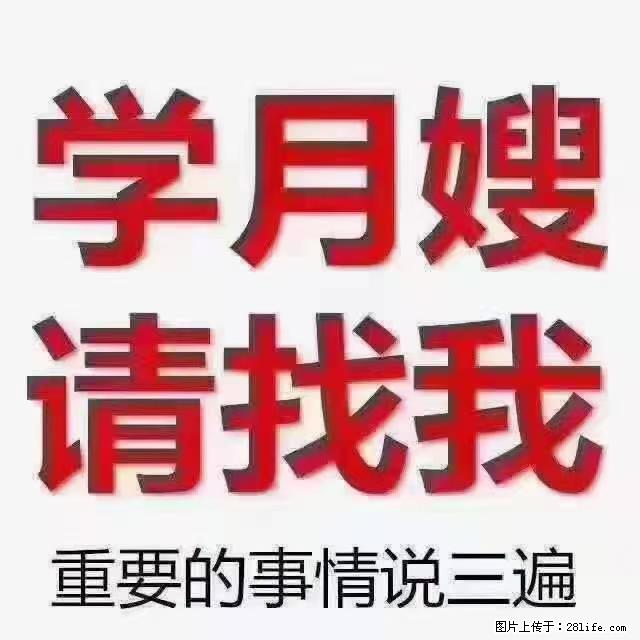 【招聘】月嫂，上海徐汇区 - 其他招聘信息 - 招聘求职 - 新余分类信息 - 新余28生活网 xinyu.28life.com