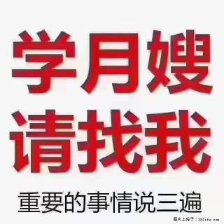 【招聘】月嫂，上海徐汇区 - 新余28生活网 xinyu.28life.com