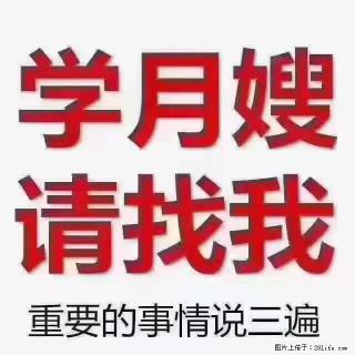 【招聘】月嫂,上海徐汇区 - 新余28生活网 xinyu.28life.com