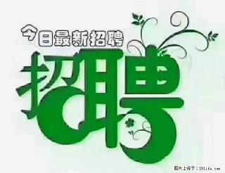 上海青浦区招仓管 - 新余28生活网 xinyu.28life.com