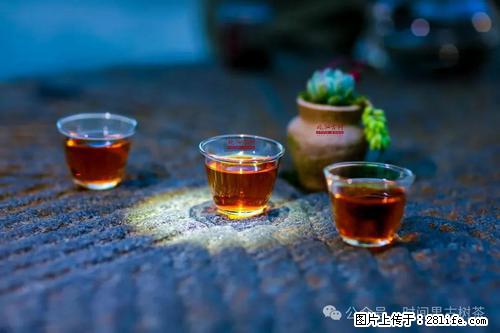 时间果百年古树2025年春红茶 - 购物交流 - 新余生活社区 - 新余28生活网 xinyu.28life.com