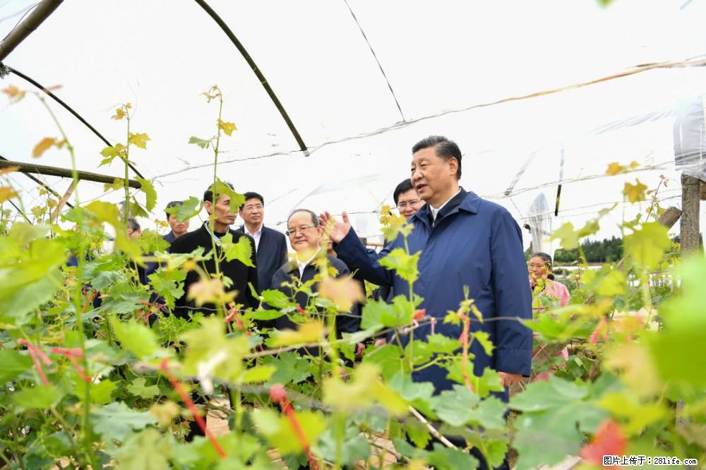 习近平赴广西考察调研 - 新余生活资讯 - 新余28生活网 xinyu.28life.com