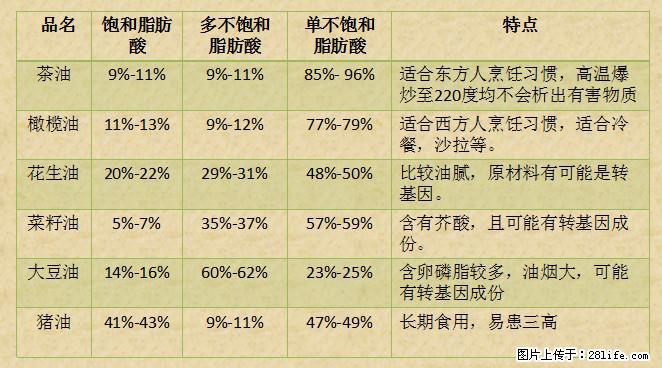 揭秘茶油的5大核心营养成分!被称为人体健康的“守护盾”! - 新余生活资讯 - 新余28生活网 xinyu.28life.com