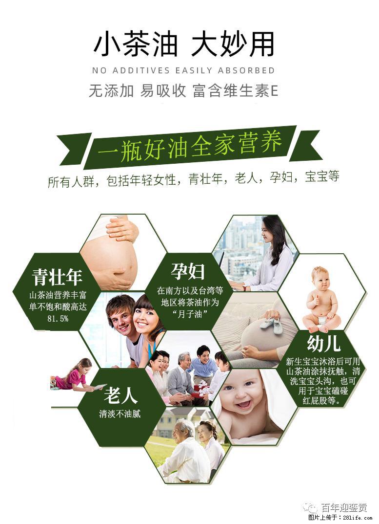世界没有真相,只有认知,最好的食用油是中国的山茶油! - 新余生活资讯 - 新余28生活网 xinyu.28life.com