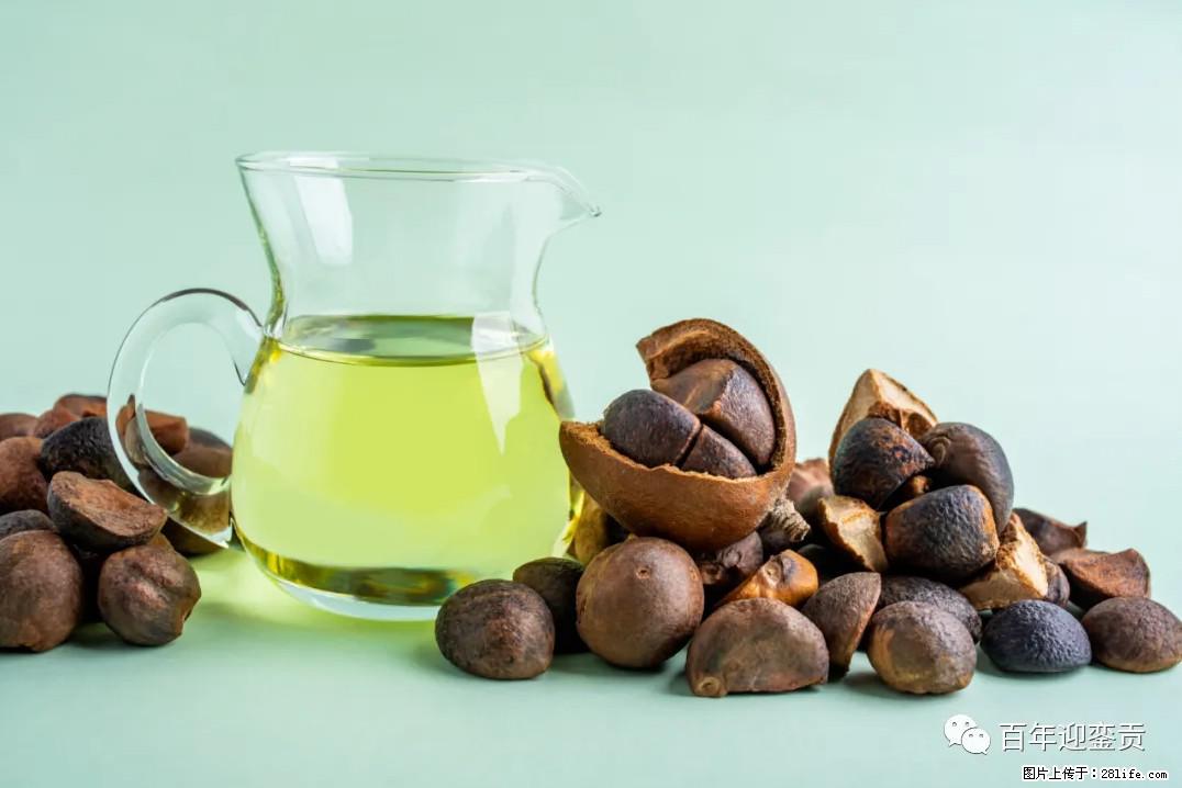 世界没有真相，只有认知，最好的食用油是中国的山茶油！ - 新余生活资讯 - 新余28生活网 xinyu.28life.com
