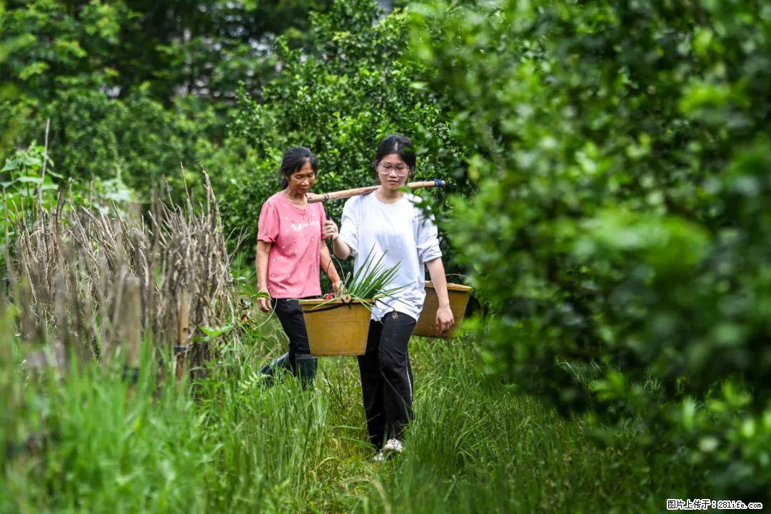 全网追的“扁担女孩”,找了一份暑假工,时薪12元 - 新余生活资讯 - 新余28生活网 xinyu.28life.com