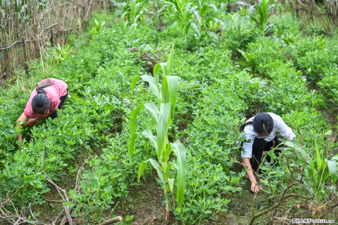 全网追的“扁担女孩”,找了一份暑假工,时薪12元 - 新余生活资讯 - 新余28生活网 xinyu.28life.com