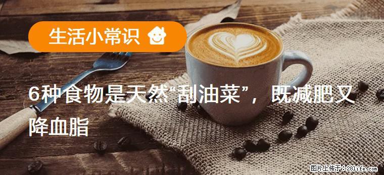 【生活小常识】6种食物是天然“刮油菜”,既减肥又降血脂 - 新余生活资讯 - 新余28生活网 xinyu.28life.com