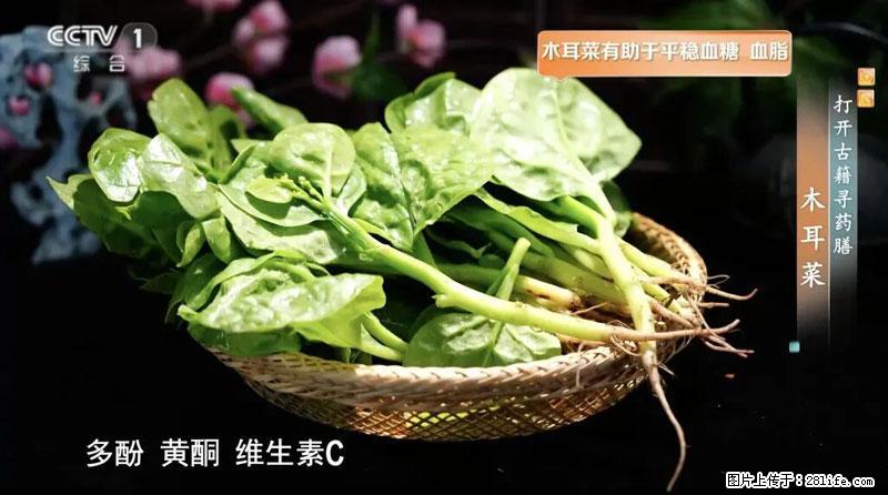 比牛奶补钙还厉害!凉血解毒、稳血糖...这菜冬天必吃,很多人却当草 - 新余生活资讯 - 新余28生活网 xinyu.28life.com