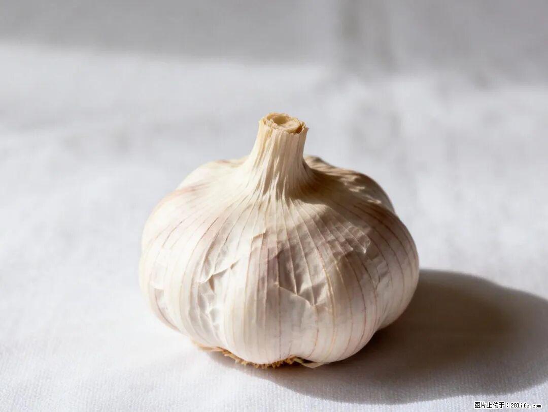 关于大蒜，除了“天然抗生素”，这4个谣言更该警惕! - 新余生活资讯 - 新余28生活网 xinyu.28life.com