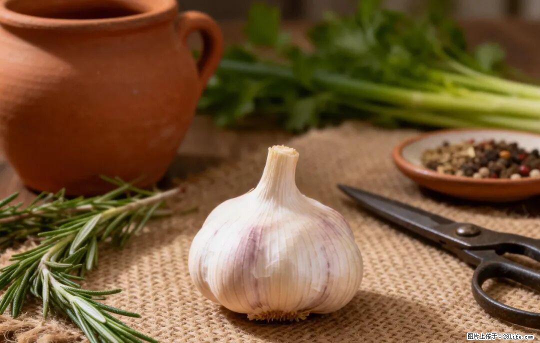 关于大蒜，除了“天然抗生素”，这4个谣言更该警惕! - 新余生活资讯 - 新余28生活网 xinyu.28life.com