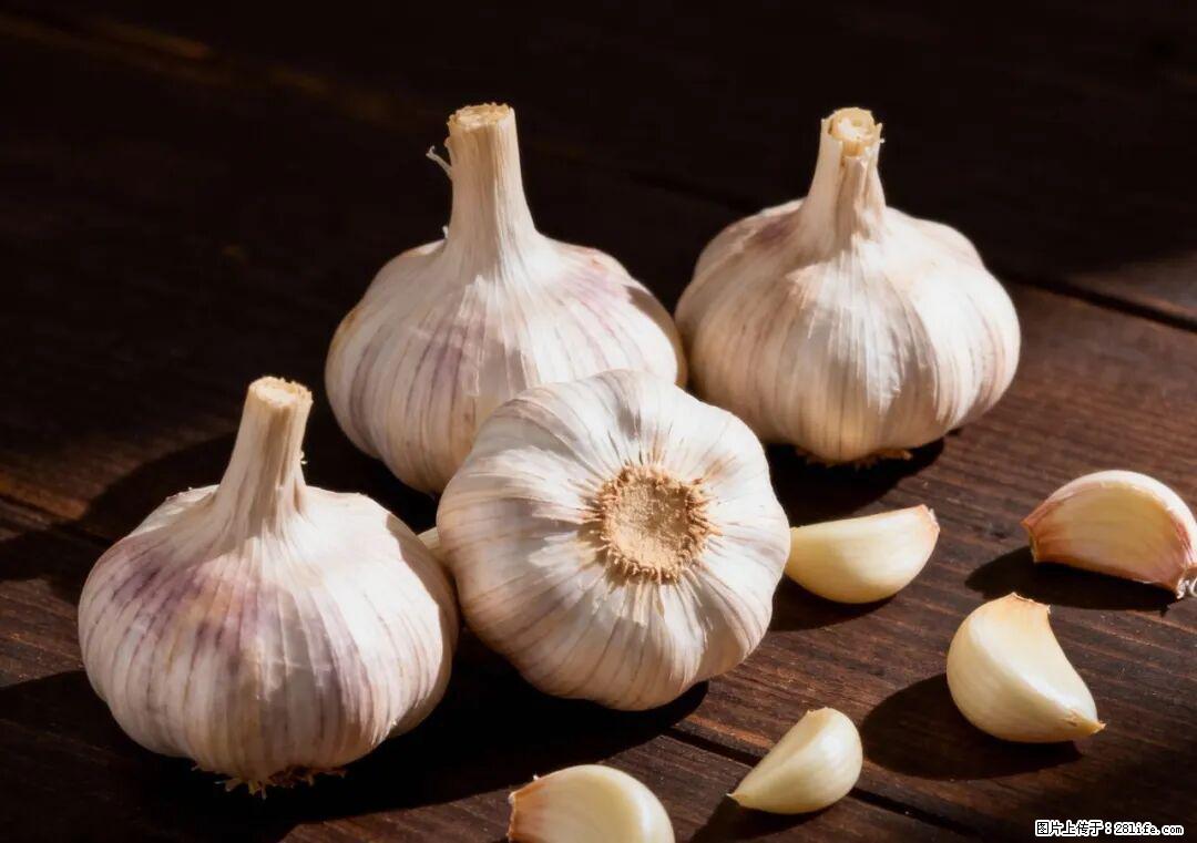 关于大蒜，除了“天然抗生素”，这4个谣言更该警惕! - 新余生活资讯 - 新余28生活网 xinyu.28life.com