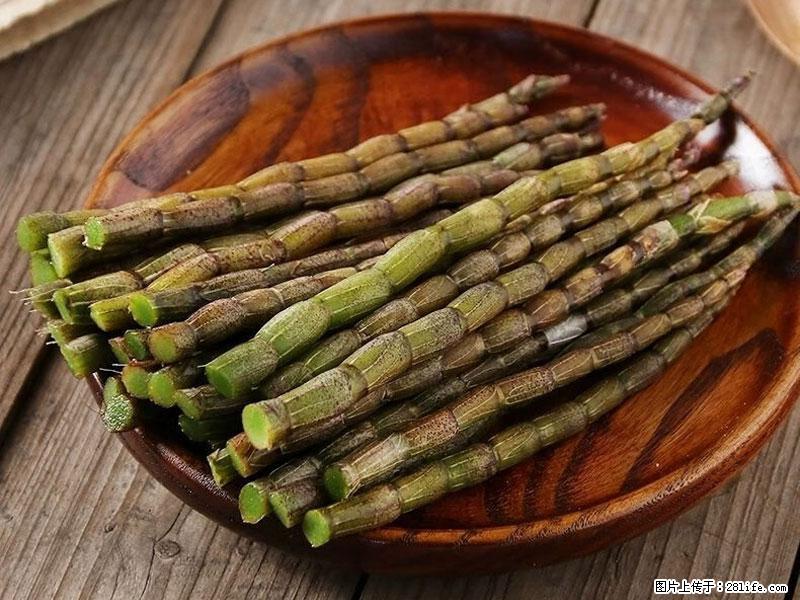 铁皮石斛的作用与功能主治 - 新余生活资讯 - 新余28生活网 xinyu.28life.com