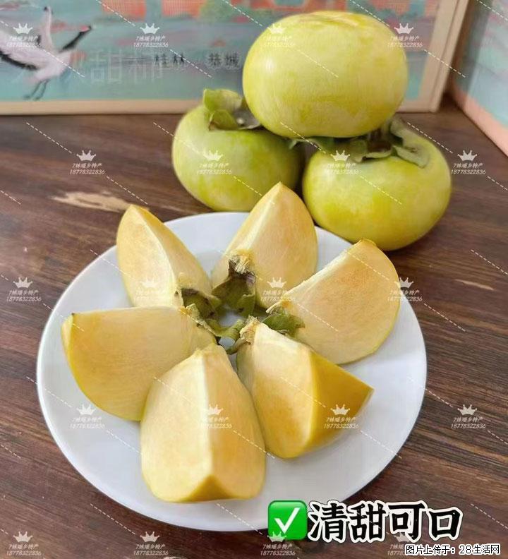 广西桂林平乐桥亭【红心猕猴桃】、【大秋甜柿】上市啦，欢迎各位新老客户下单（另有少量小果出售） - 新余生活资讯 - 新余28生活网 xinyu.28life.com